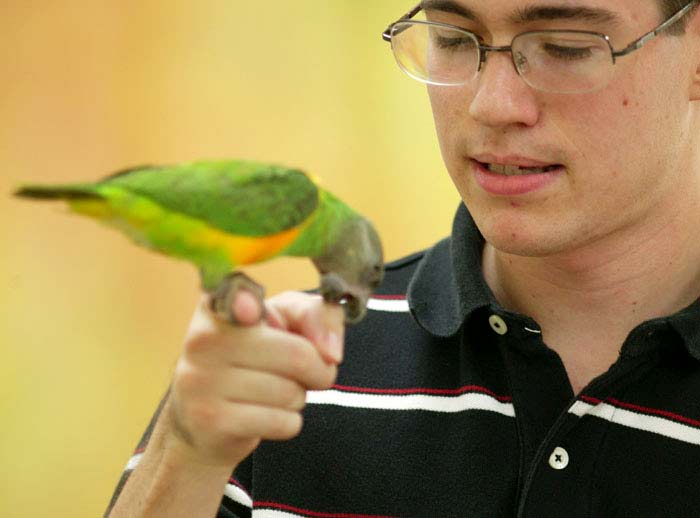 Parrot bite hand