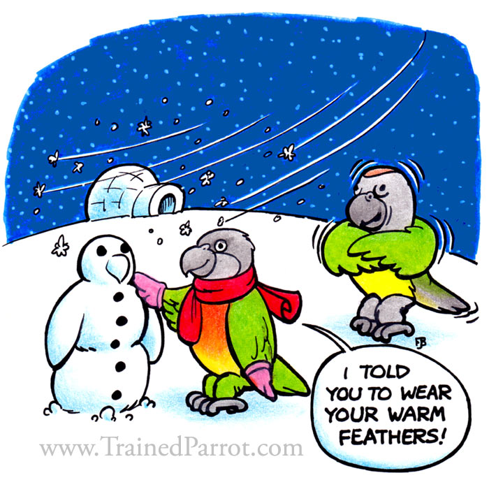 Winter Parrots Cartoon