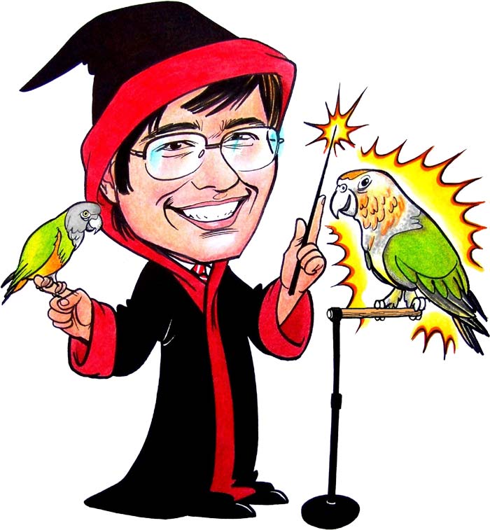 http://trainedparrot.com/images/parrot_wizard.jpg