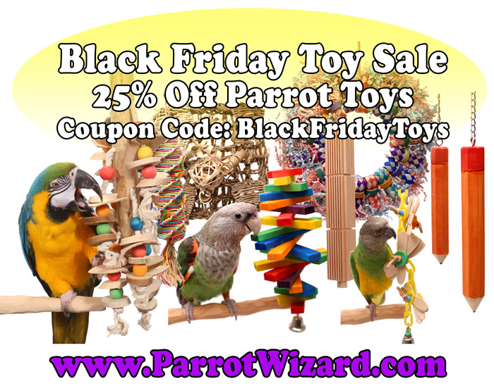 Cheap parrot 2024 toys for sale