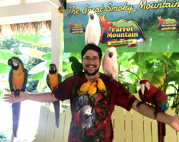 Holding lots of parrots at Parrot Mountain