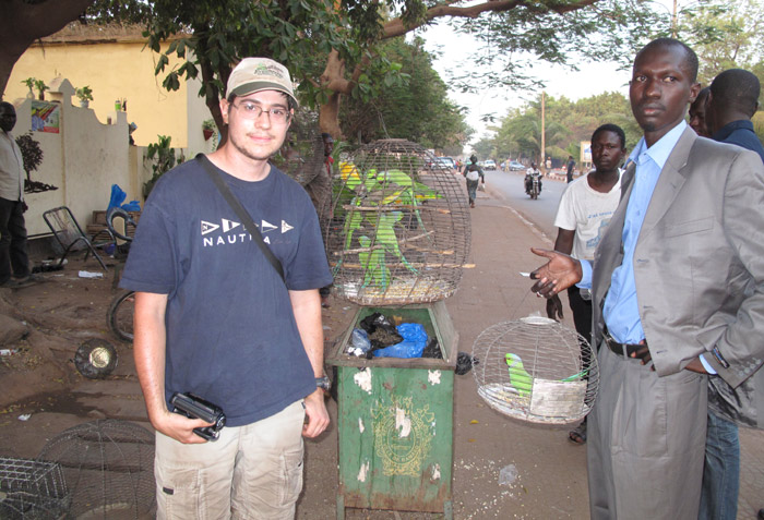 Bomako Wild Parrot Market