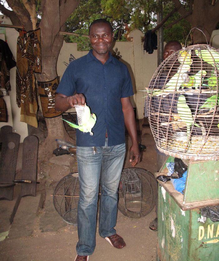 African parrot vendor