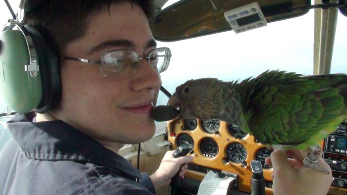 Parrot Biting Microphone