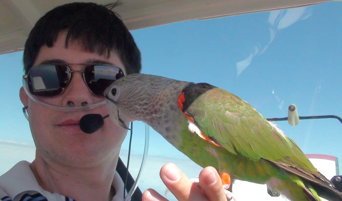 High Altitude Flying With Parrots