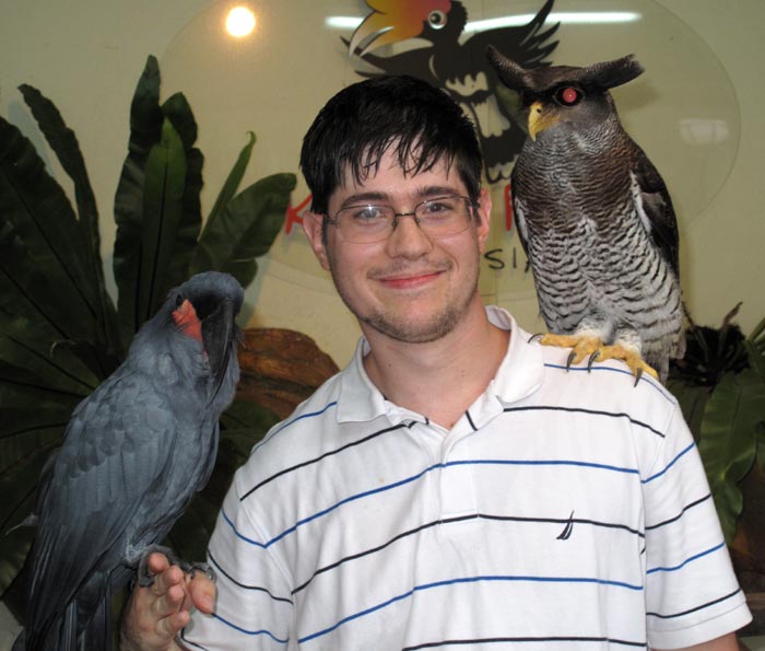 Palm Cockatoo and Barred Eagle Owl