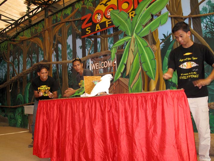 Zoobic Parrot Show