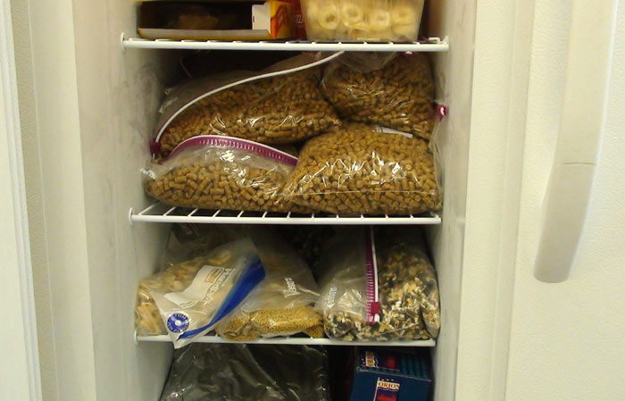 Bird Food in Freezer