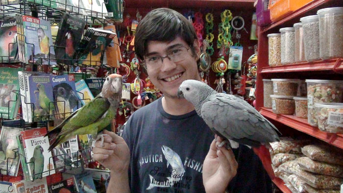 parrotlet vs lovebird