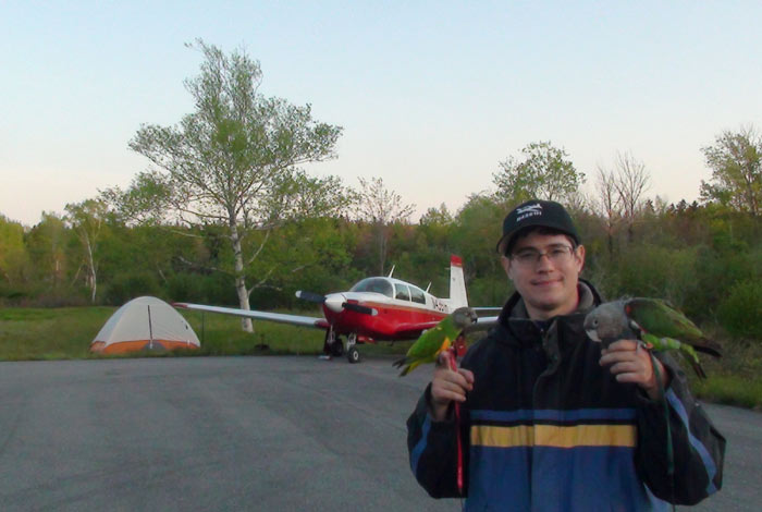 Parrots, tent, airplane camping