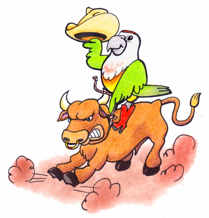 Parrot Riding Bull Cartoon