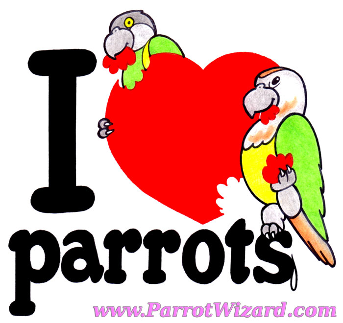 I Heart Parrots