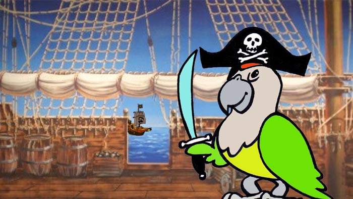 Pirate Cape Parrot