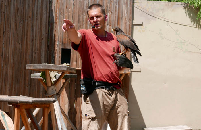 Trainer at Prague Zoo