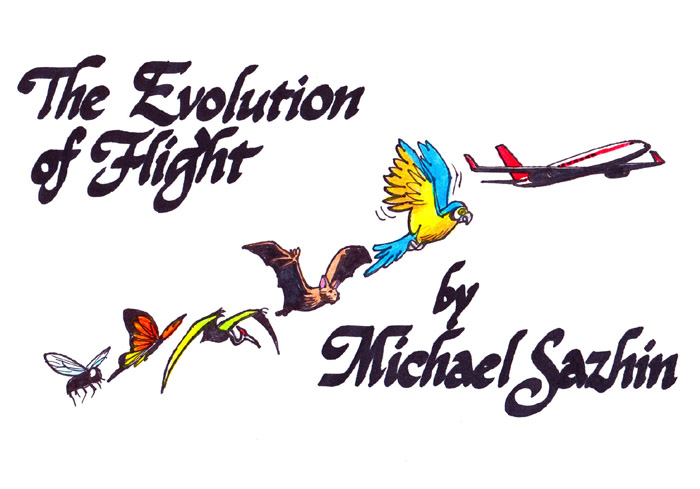 Evolution of Flight