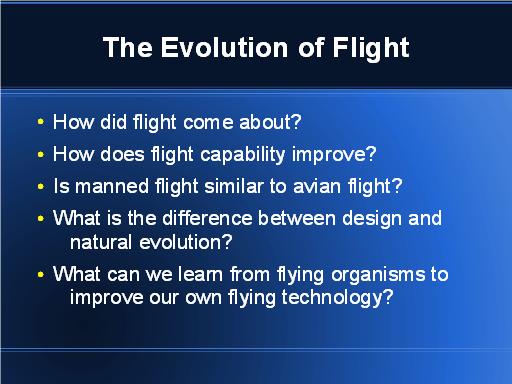 Questions about evolution of flight