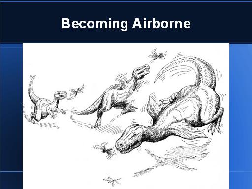 Becoming Airborne