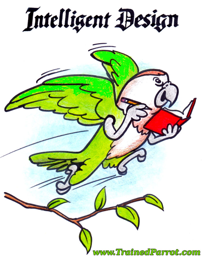 Intelligent Design Parrot Cartoon