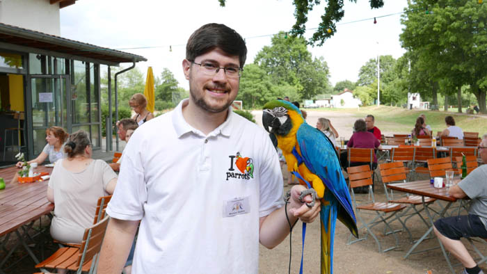 Blue and Gold Macaw