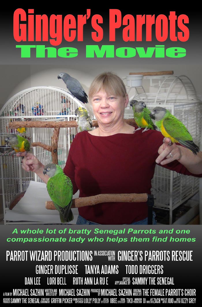 Ginger's Parrots Movie Poster