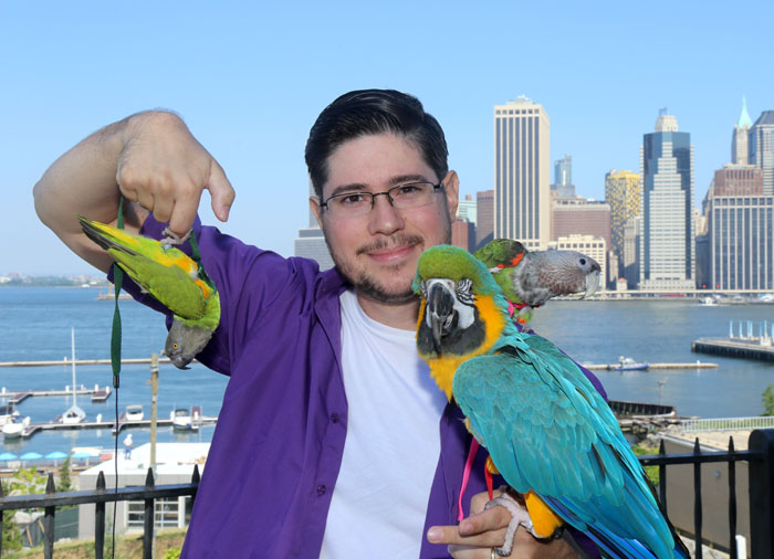 Parrots with Aviator Harness