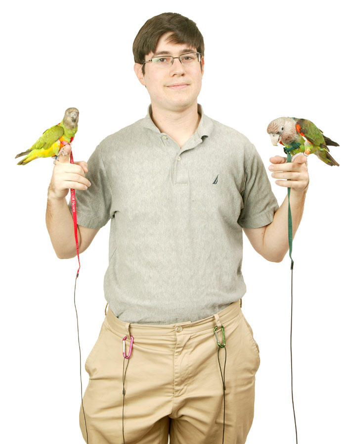 Bird shop leash conure