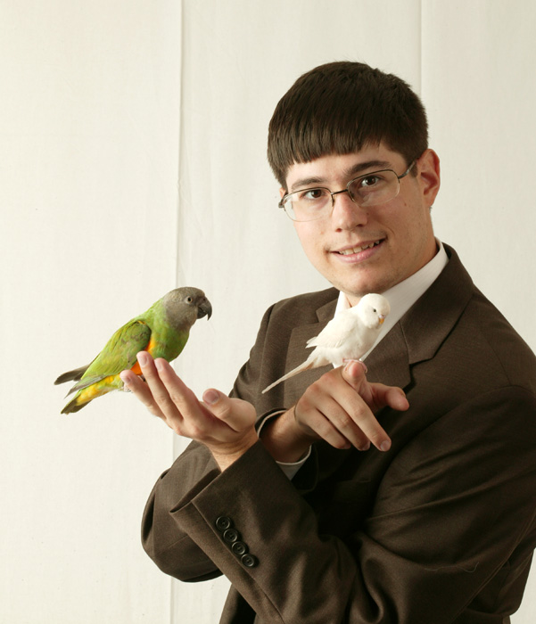 Senegal Parrot and Budgie