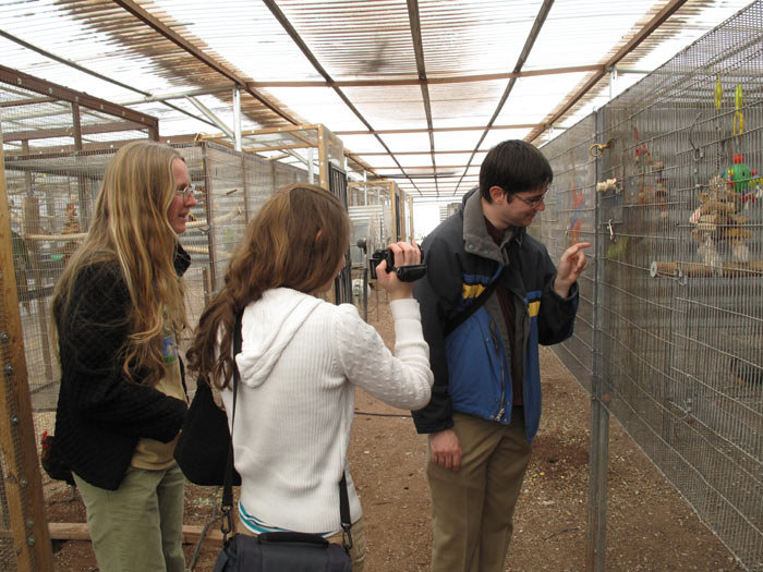 Senegal Cage