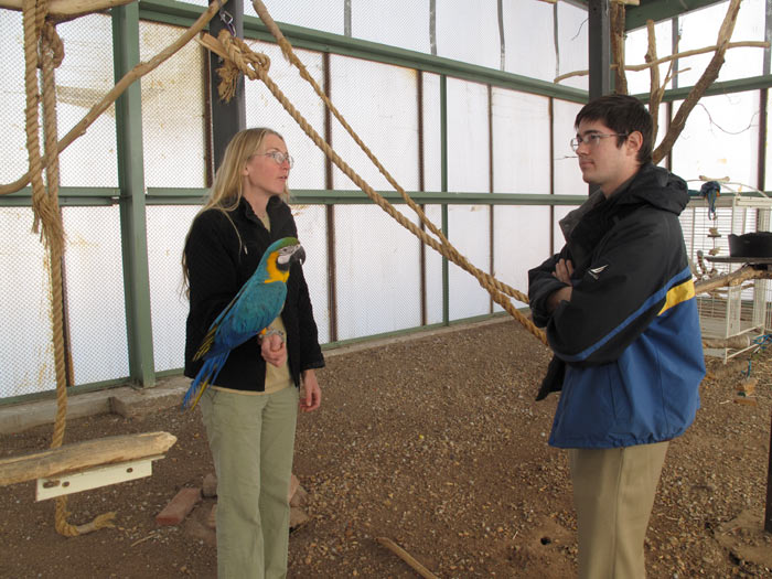 Macaw Aviary