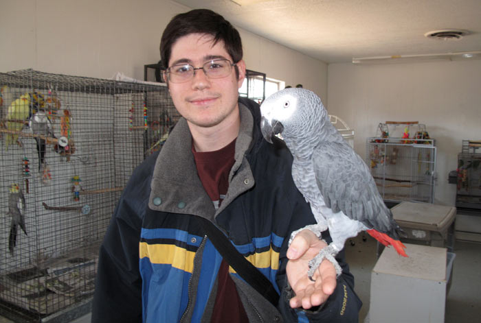 Holding an African Grey Parrot