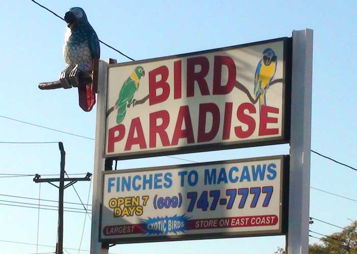 Bird Paradise Sign