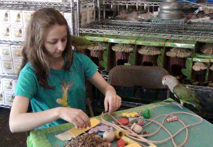 Kathleen making parrot toy