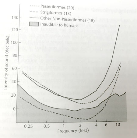 Bird Hearing Chart