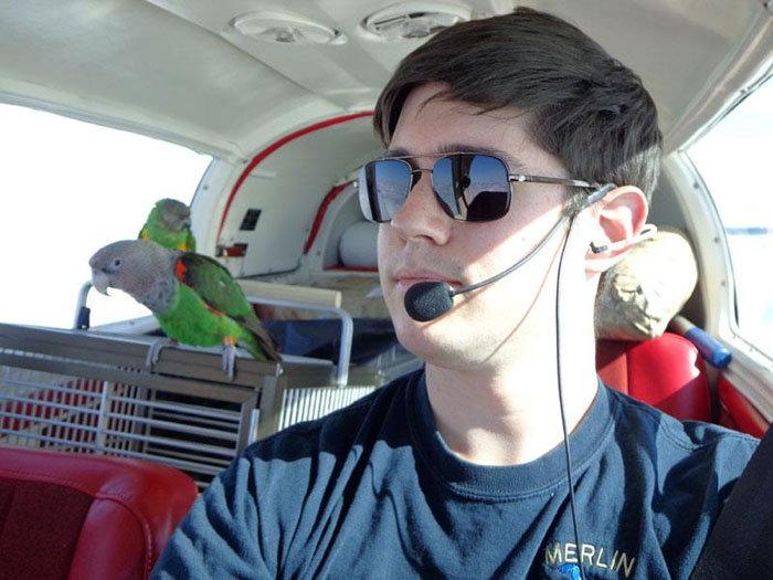 Flying Plane and Parrots to Phoenix