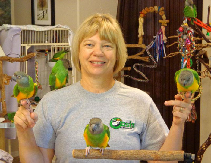 Many Rescue Senegal Parrots