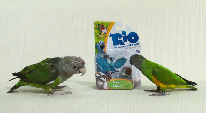 Rio Figurine Toys