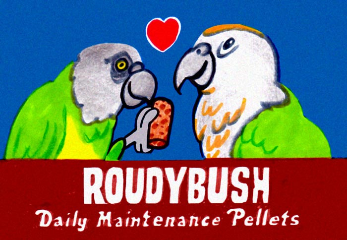 Roudybush Cartoon