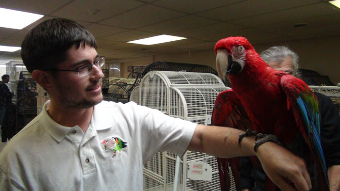 Parrot at rescue