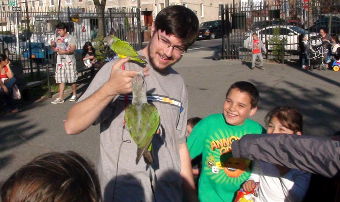 Trained Cape Parrot