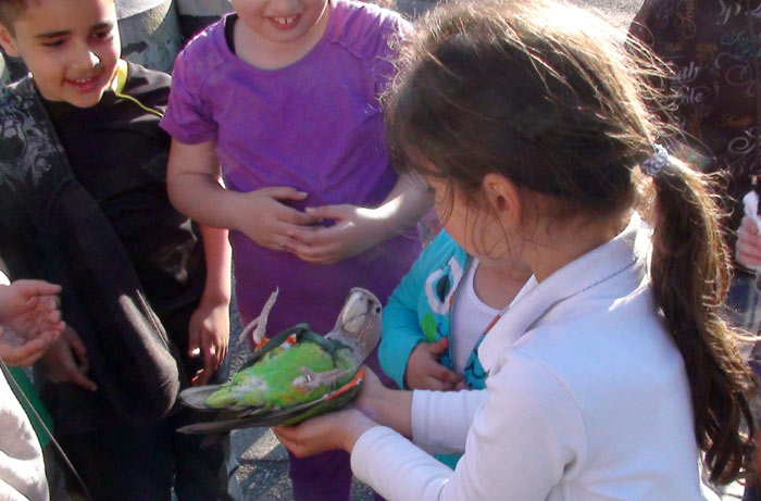 Kids holding Cape Parrot