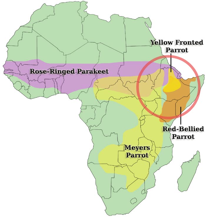 Map - Parrots of East Africa