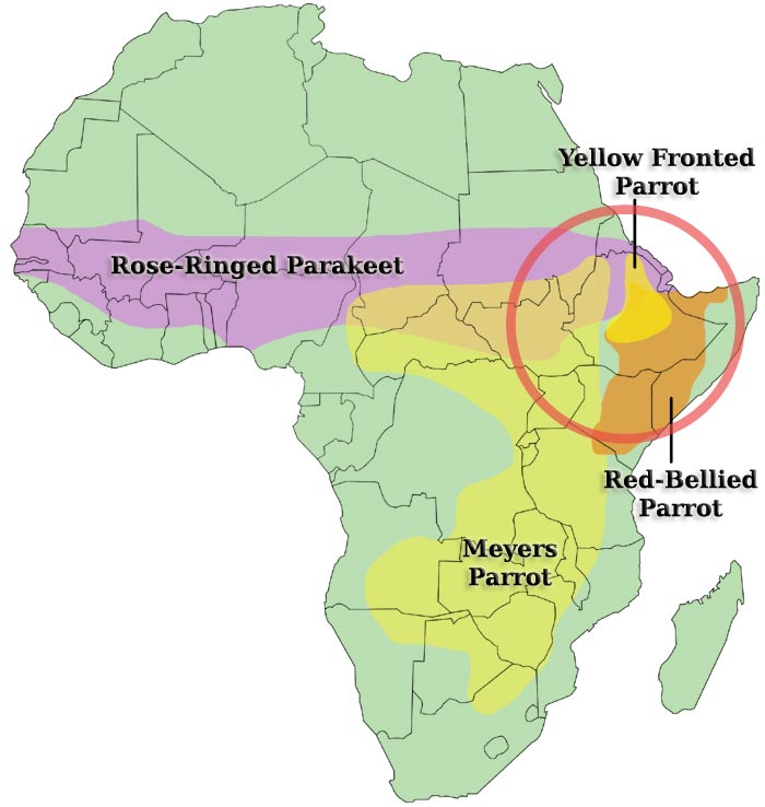 parrot habitat map