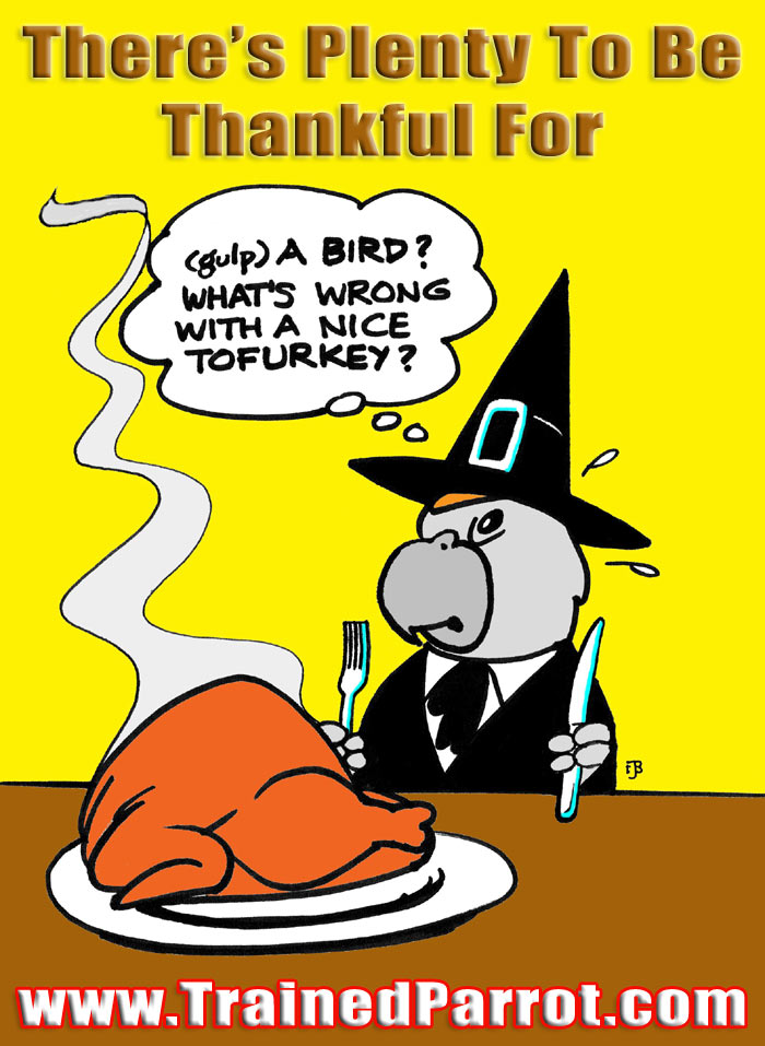 Thanksgiving Pilgrim Parrot Joke Cartoon Picture