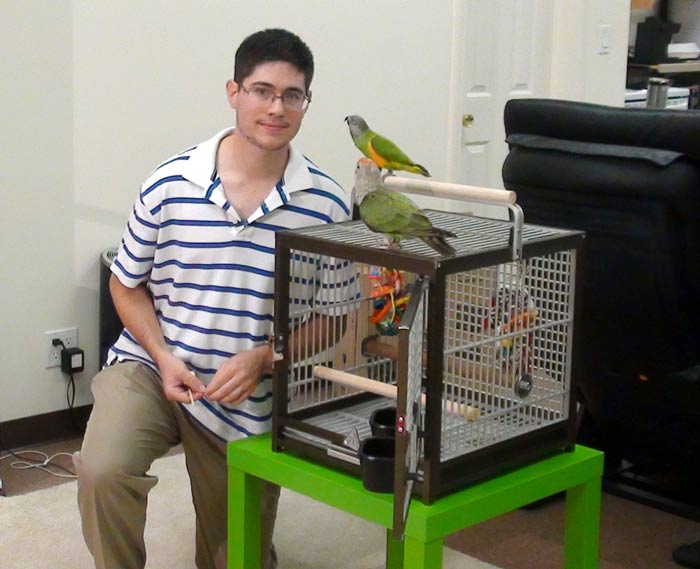 Parrot carry outlet cage