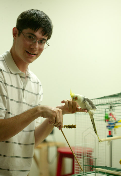 parrotlet treats