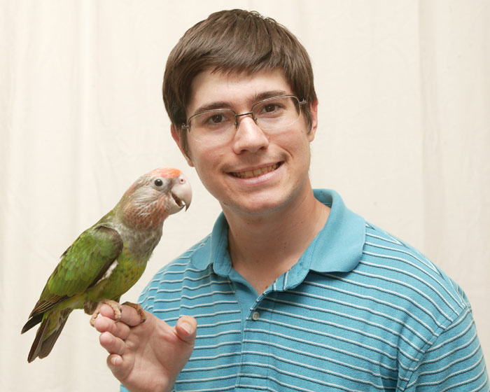 Brown Necked Parrot