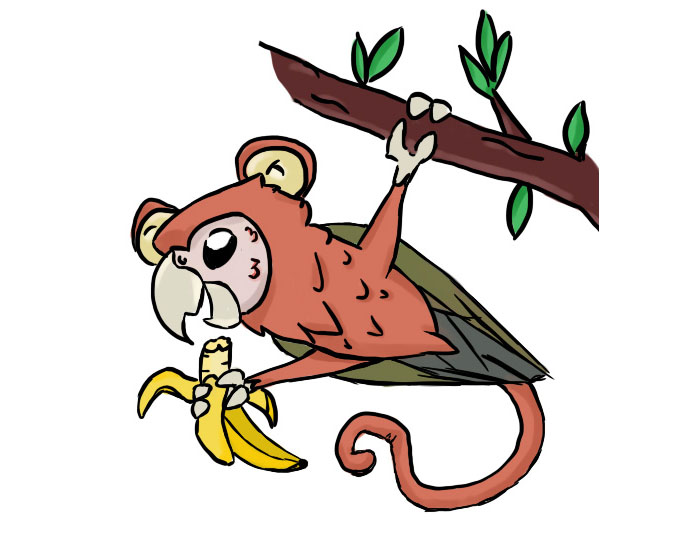 Monkey Parrot