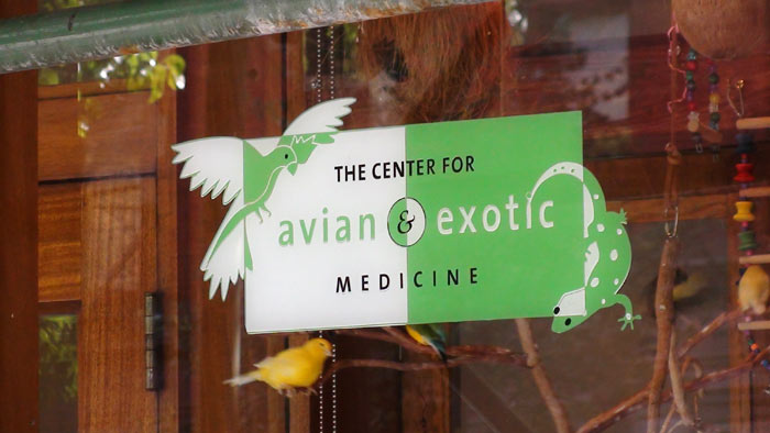 Center for Avian & Exotic Medicine