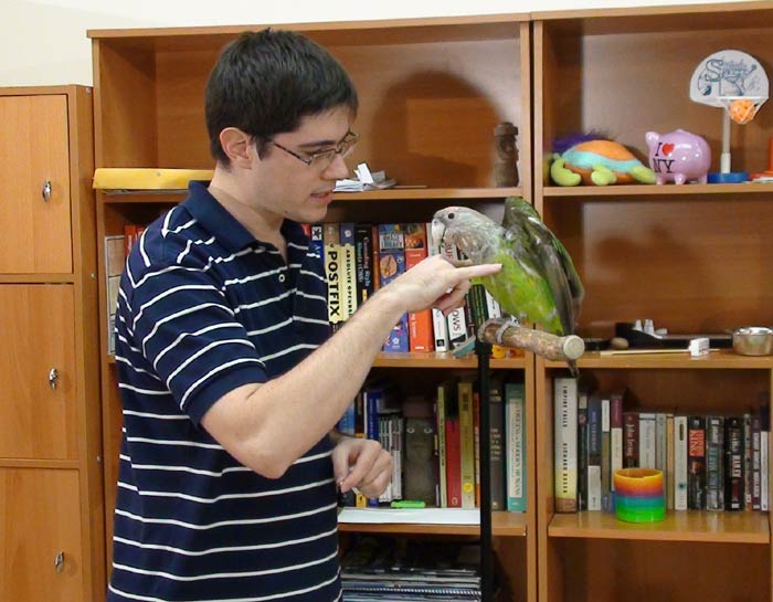 Photo of Parrot Opening Wings