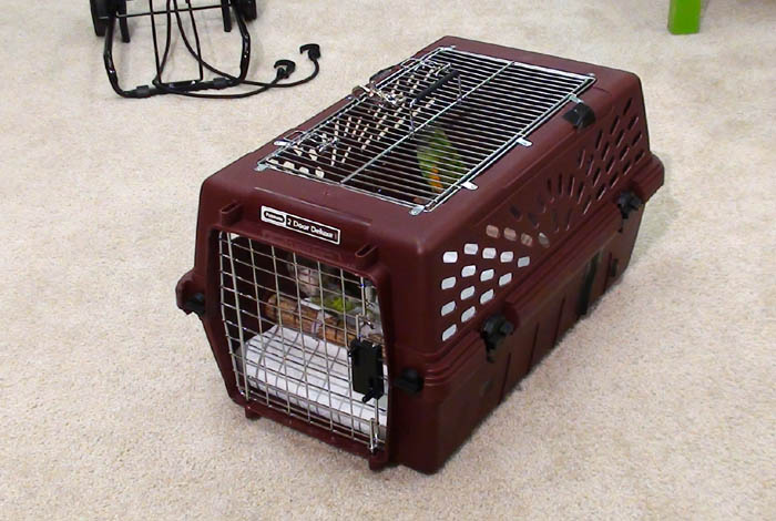 Cockatoo travel outlet carrier